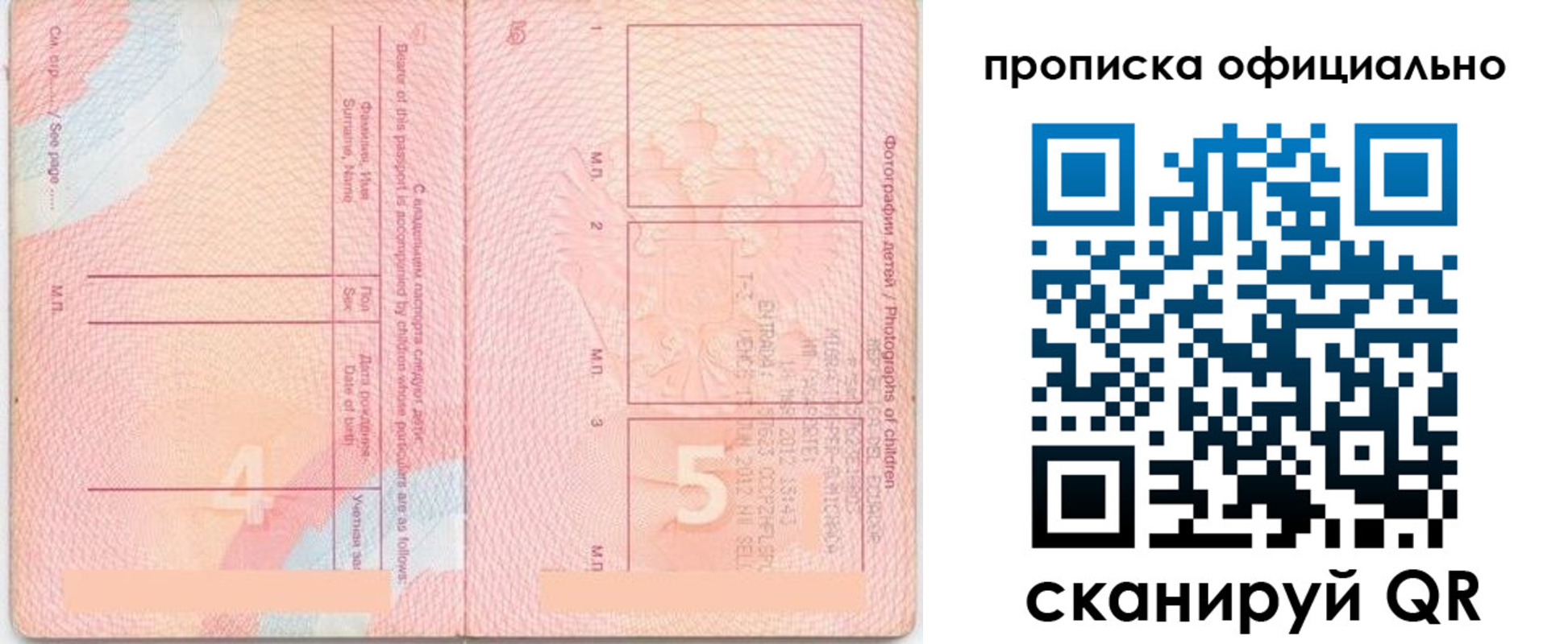 прописка для школы в Камышлове